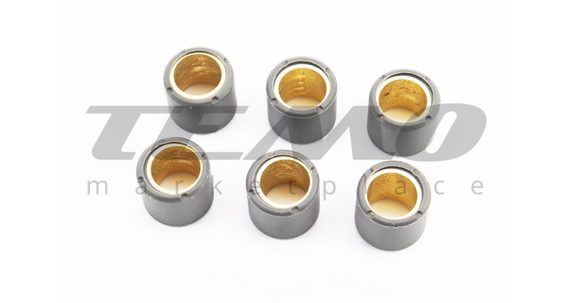 Ролики вариатора Piaggio X9 SM-TW 6шт 25x22.2 22.5г - фото 1