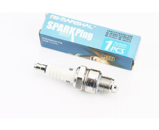 Свічка 2Т E6TC - M14 L12