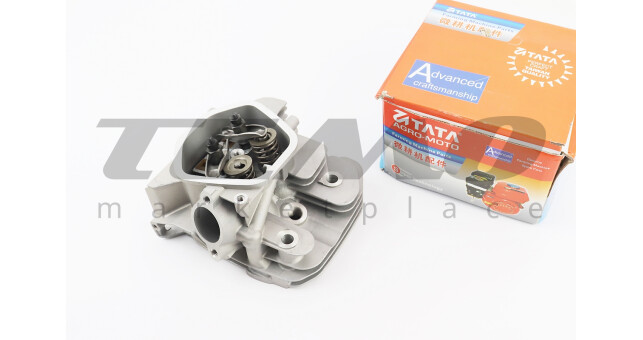 Головка циліндра у зборі TATA 188F - фото 1