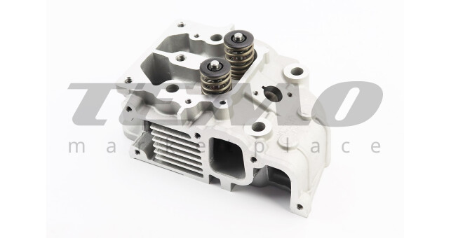 Головка 186F Витязь/Кама в сборе - фото 1