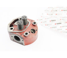 Головка циліндра TATA R185N/R190N у зборі