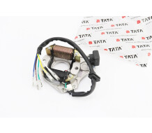 Статор магнето (генератора) (2 котушки "5 проводів")