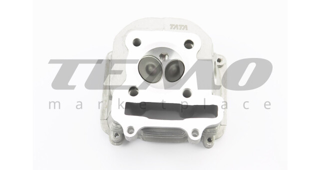 Головка циліндра TATA 150cc + клапана + пастель - фото 3