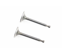 Клапан впускний (h-64; D-27; d-5,45), випускний (h-62; D-25; d-5,45) к-кт 2шт 170F