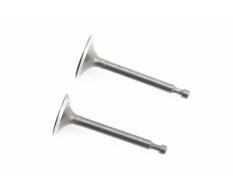 Клапан впускний (h-64; D-27; d-5,45), випускний (h-62; D-25; d-5,45) к-кт 2шт 170F