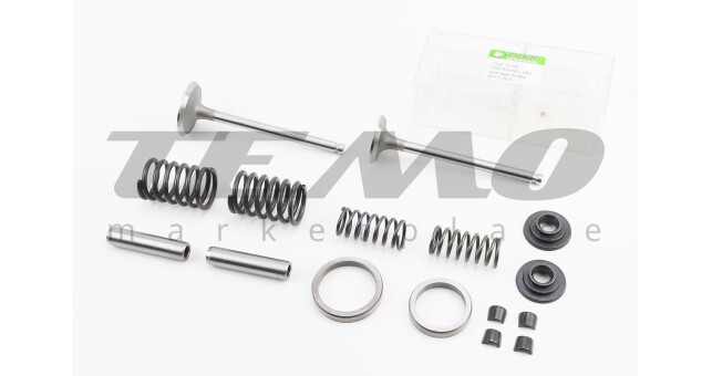 Клапан впускной (h-120; D-42; d-7,95), выпускной (h-120; D-36; d-7,95) + клапанный механизм к-кт R195NM - фото 1