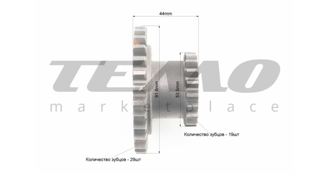 Шестерня 81-1 Z-19х29 - фото 2