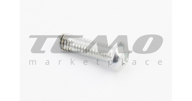 Болт M6x20mm (под отвертку + ) - фото 1