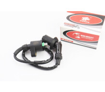 Котушка запалювання із свічником