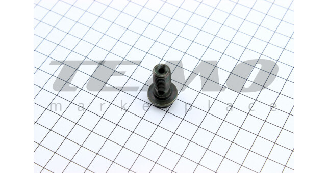 Болт гальмівного шлангу M10 - фото 2