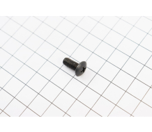 Болт M5x12mm (под отвертку +)