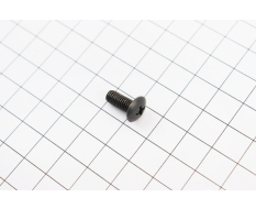 Болт M5x12mm (під викрутку +)