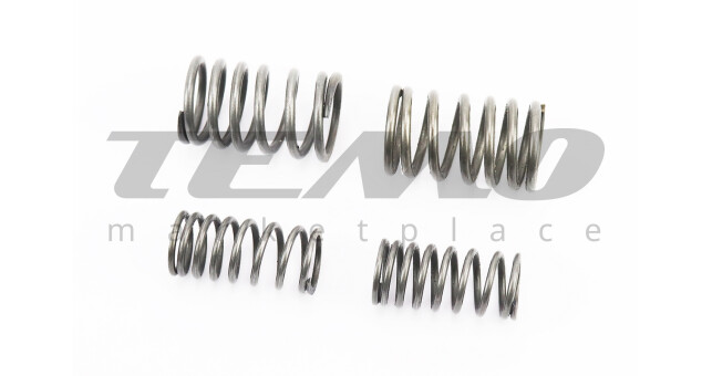 Пружины клапанов (внутр, внешн.) к-кт 4 шт - фото 1