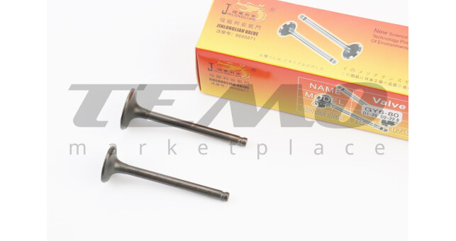 Клапан впускной, выпускной (НЕМАГНИТный) к-кт УВЕЛИЧЕННЫЕ (d=19,8/22,9мм; L=65/66мм) - фото 1