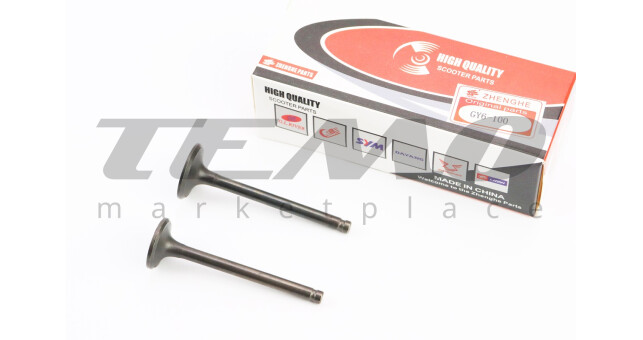 Клапан впускной, выпускной (НЕМАГНИТный) к-кт УВЕЛИЧЕННЫЕ (d=20/23мм; L=65/66мм) - фото 1