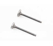 Клапан впускной, выпускной к-кт УВЕЛИЧЕННЫЕ (d=20/23мм; L=65/66мм)