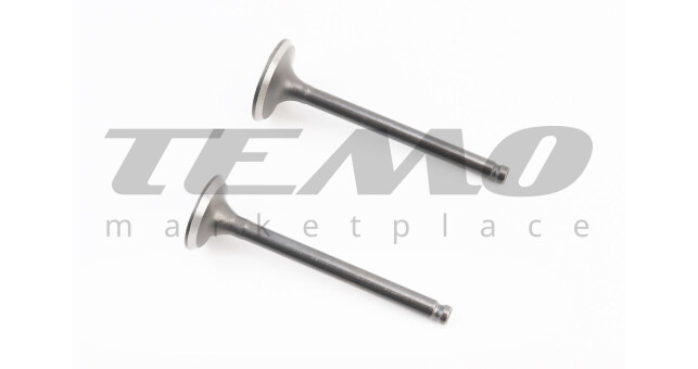 Клапан впускной, выпускной к-кт УВЕЛИЧЕННЫЕ (d=20/23мм; L=65/66мм) - фото 1