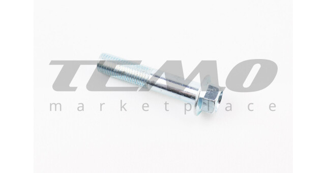 Болт M10x50mm (під ключ) - фото 1