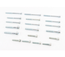 Болты двигателя к-кт (М6х21mm-4шт, М6х30mm-2шт, М6х50mm-6шт, М6х65mm-3шт, М8х45mm-4шт) 634 6V