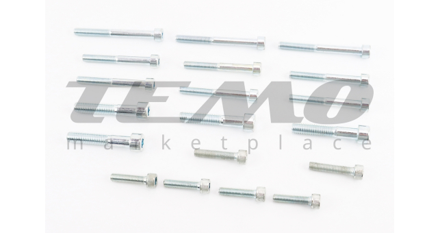 Болти двигуна к-кт (М6х21mm-4шт, М6х30mm-2шт, М6х50mm-6шт, М6х65mm-3шт, М8х45mm-4шт) 634 6V - фото 1