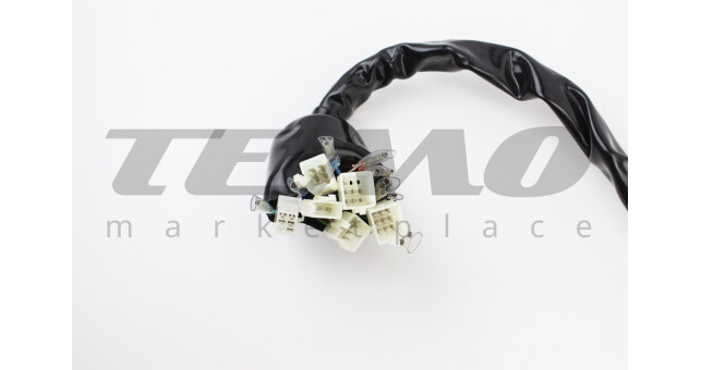 Проведення центральне - фото 2