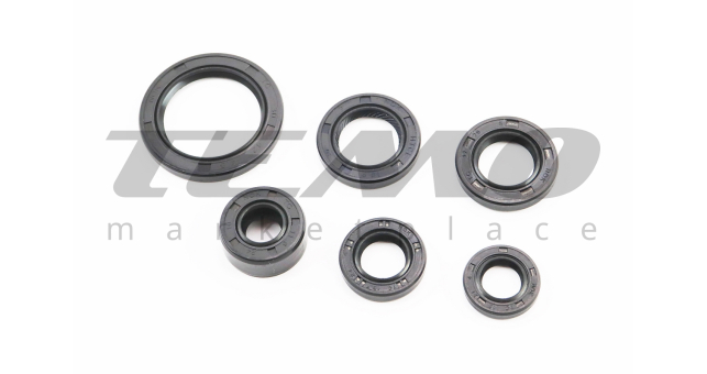 Сальники TATA 11.6x24x10; 13x21x4; 13.7x24x5; 17x29x5; 18.9x30x5; 30x42x4.5 к-кт 6шт - фото 1