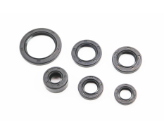 Сальники TATA 11.6x24x10; 13x21x4; 13.7x24x5; 17x29x5; 18.9x30x5; 30x42x4.5 к-кт 6шт