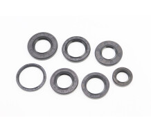 Сальники Mototech 17x27x6; 20x38x5; 22x38x6; 24x43x6; 25x37x6; 27x40x6; 34x41x4 к-кт 7шт