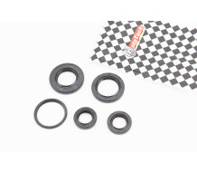 Сальники Mototech 17x27x6; 17x28x5.5; 24x43x6; 27x40x6; 33x39x4 к-кт 5шт