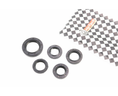 Сальники Mototech 16.4x30x5; 17x30x6; 19.8x30x5; 20x32x6; 27x42x7 к-кт 5шт