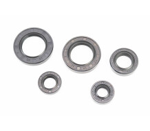 Сальники Mototech 12x24x7; 14x24x6; 17x29x8; 25x40x8; 26x42x7 к-кт 5шт