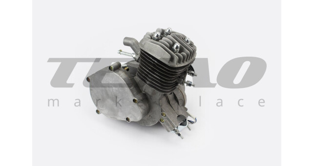 Двигун велосипедний 2Т з ручним стартером, СІРИЙ - фото 2