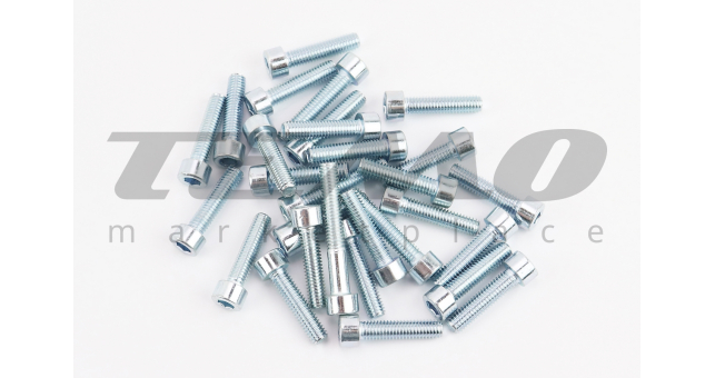 Болты двигателя к-кт (М6х10mm, М6х25mm-24шт, М6х30mm-3шт, М6х40mm) - фото 1