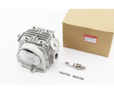 Головка цилиндра GXmotor 70cc 47 мм + клапана + распредвал + крышки в сборе