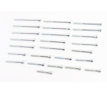 Болты двигателя к-кт (М6х35mm-4шт, М6х40mm-3шт, М6х45mm-2шт, М6х50mm-2шт, М6х65mm-6шт, М6х75mm-8шт) Планета