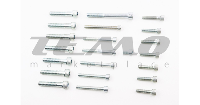 Болты двигателя к-кт (М6х10mm, М6х25mm-6шт, М6х30mm, М6х45mm-2шт, М6х50mm-3шт, М6х55mm, М8х40mm-7шт, М8х70mm) 638 12V - фото 1
