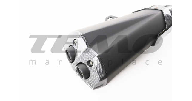 V200-F2 V250-F2 Глушник - фото 3
