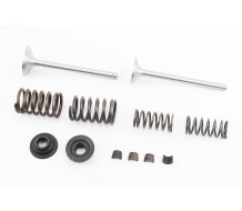 Клапан впускний (h-115; D-39; d-7,95), випускний (h-115; D-33; d-7,95) + клапанний механізм к-кт R185N/R190N/R192N