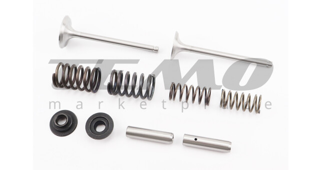 Клапан впускний (h-120; D-42; d-7,95), випускний (h-120; D-36; d-7,95) + клапанний механізм к-кт R195NM - фото 1