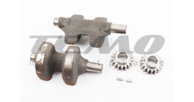 Вал балансувальний-2шт + Z - 18 шестерня-2шт ZS1100 - фото 1